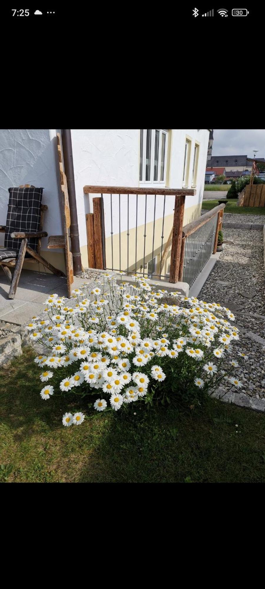 Ruhdichaus * Palling